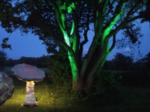 Lichtpicknick mit Märchen und Geschichten Lichtpicknick